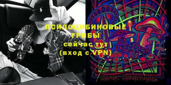 сатива Алексин