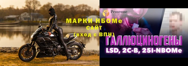 прущие грибы Алзамай