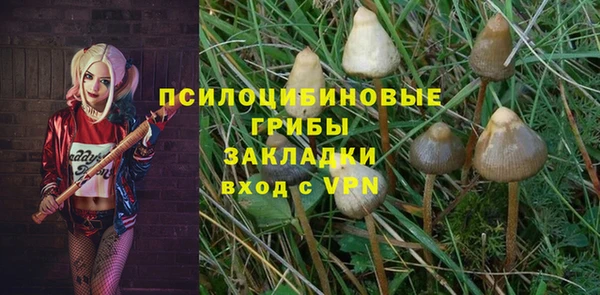 сатива Алексин