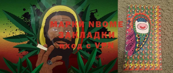 прущие грибы Алзамай