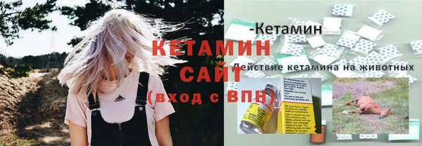 сатива Алексин