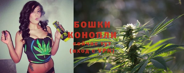прущие грибы Алзамай