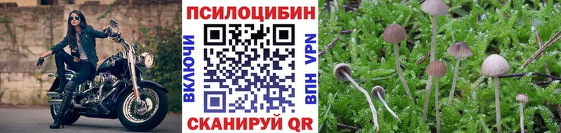 Псилоцибиновые грибы прущие грибы гидра рабочий сайт Киров